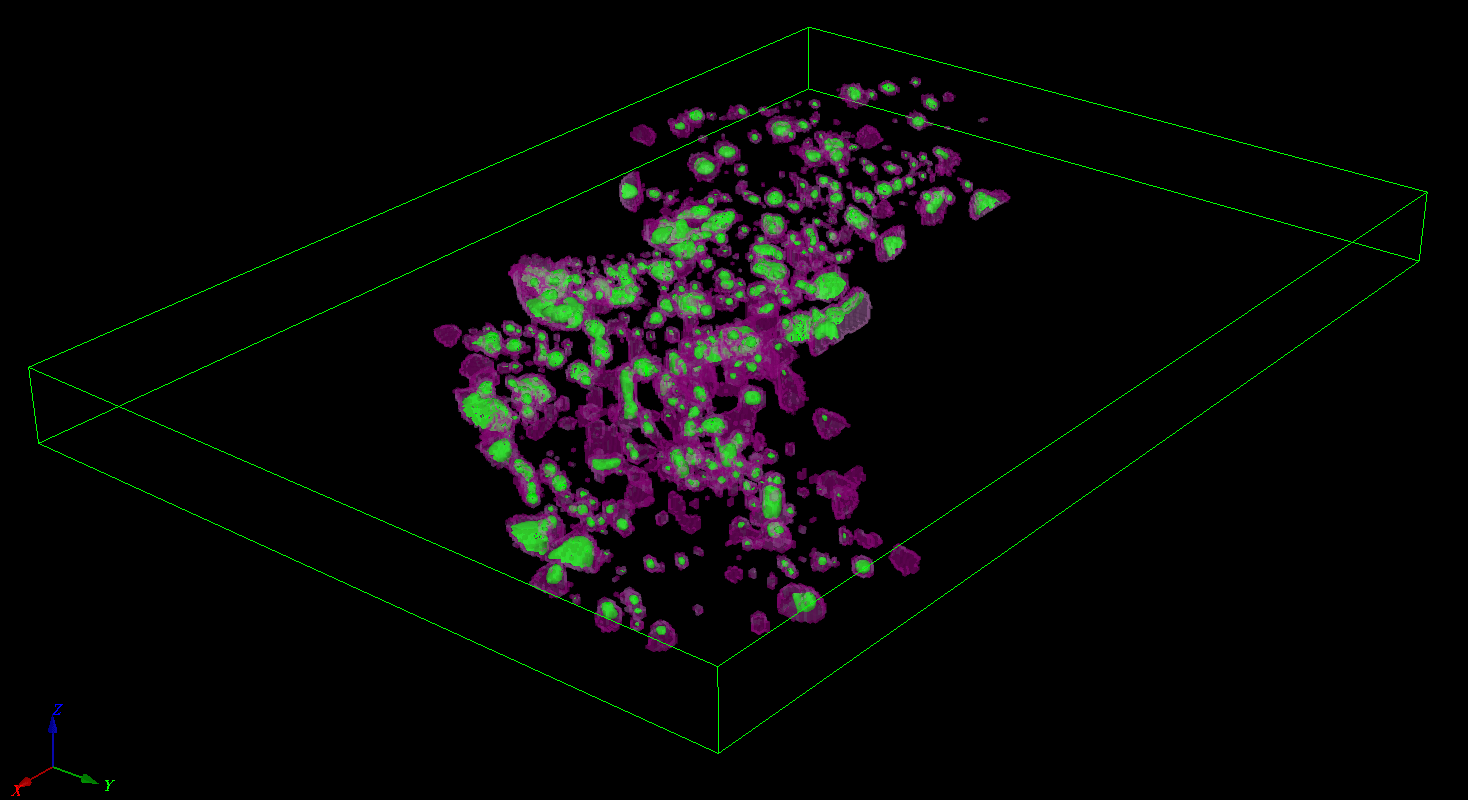 model suscep ip 100ms-2