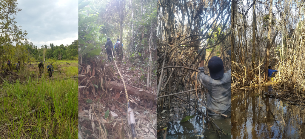 Metode Geofisika yang Paling Efektif untuk Identifikasi&nbsp;Rawa