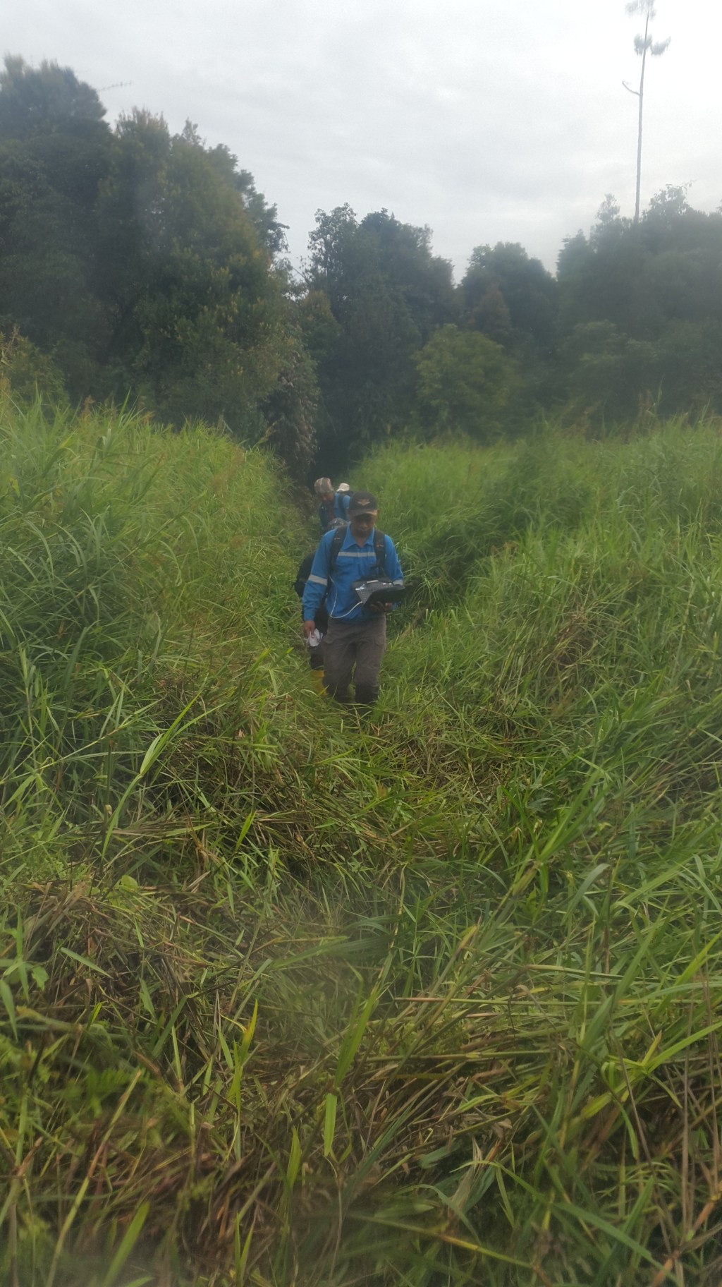 Eksplorasi di Daerah Rawa dan Ber&nbsp;air